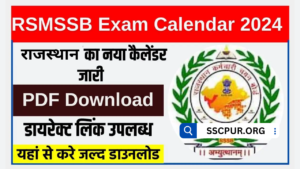 RSMSSB New Exam Calendar 2024 PDF